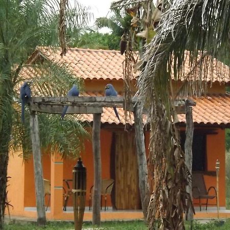 Pousada Reserva Ecologica Jaguar Poconé Екстериор снимка