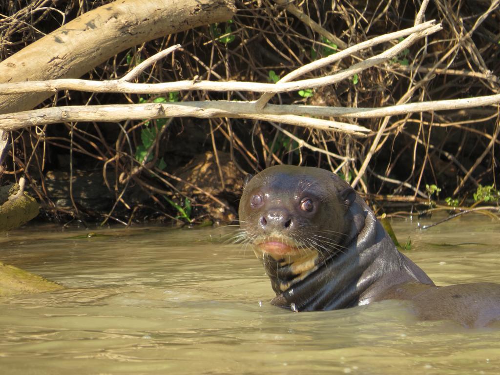 Pousada Reserva Ecologica Jaguar Poconé Екстериор снимка