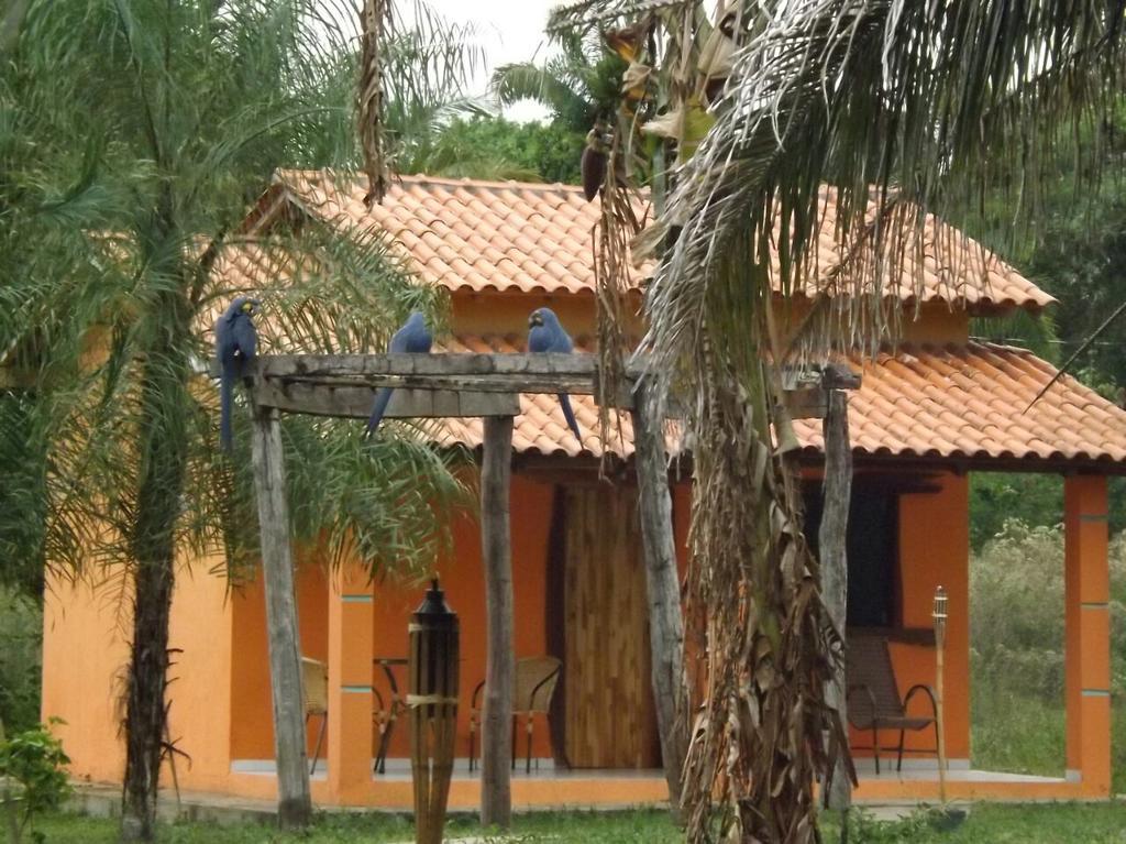 Pousada Reserva Ecologica Jaguar Poconé Екстериор снимка