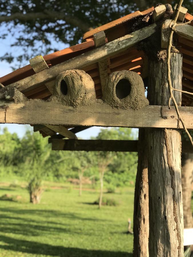 Pousada Reserva Ecologica Jaguar Poconé Екстериор снимка