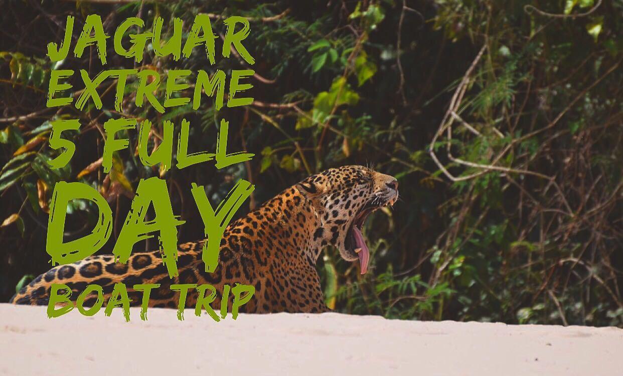Pousada Reserva Ecologica Jaguar Poconé Екстериор снимка